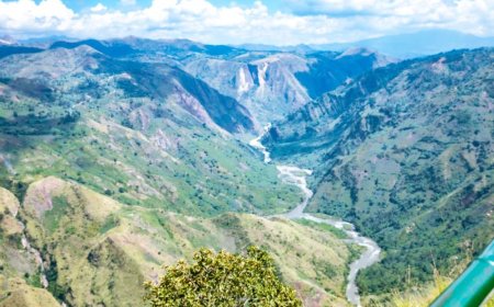 Urugomero rwa Ruzizi III ruzacanira u Rwanda, Congo n’u Burundi ruzatwara miliyoni 800$