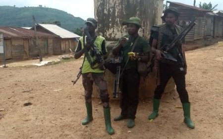 Umurwanyi wa Wazalendo yicishijwe inkoni nyuma yo kurasa umubyeyi we