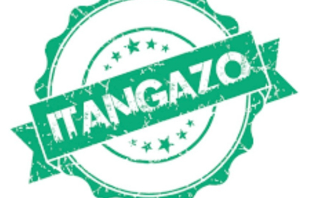 Ingingo z’ingenzi z’impamvu BAMUREBE Marie Consolee, asaba guhindura amazina akitwa NIYITANGA Marie Consolee