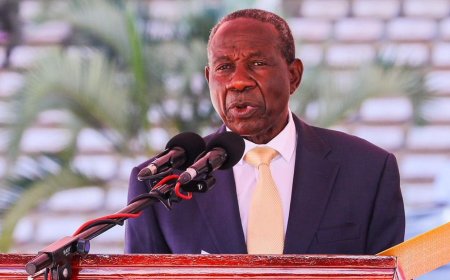 Uganda: Miliyoni $17 zigiye gushorwa mu buhanzi