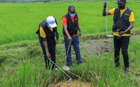 We cannot afford to take it easy in the battle against malaria