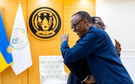 President Kagame welcomes Akinwumi Adesina, the departing head of the AfDB