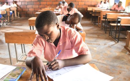 MINEDUC to Launch the 2024/2025 Primary leaving Examinations 