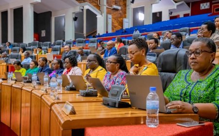 Abadepite batumije Abaminisitiri babiri kubera ibibazo byagaragajwe n’abaturage