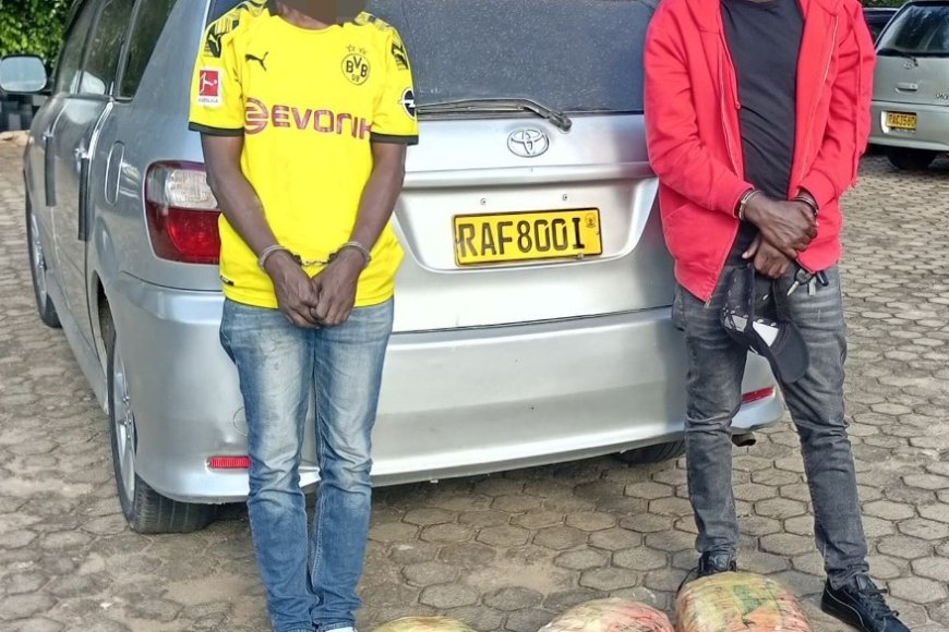 Nyarugenge: Abagabo babiri bafatanywe ibiro 36 by’urumogi