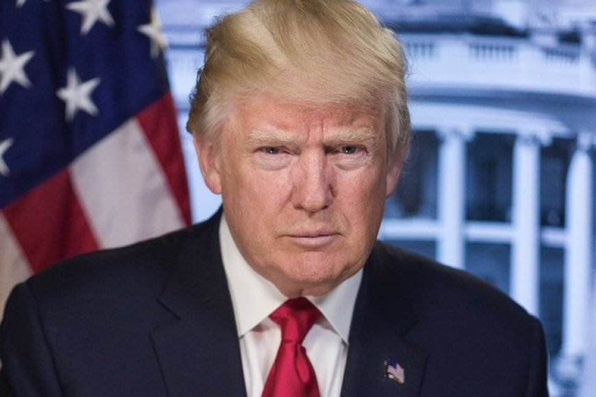 USA: Perezida Donald Trump yashyize ibihugu 12 mu bihano