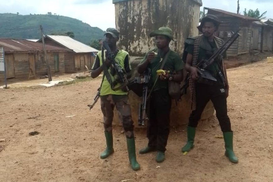 Umurwanyi wa Wazalendo yicishijwe inkoni nyuma yo kurasa umubyeyi we