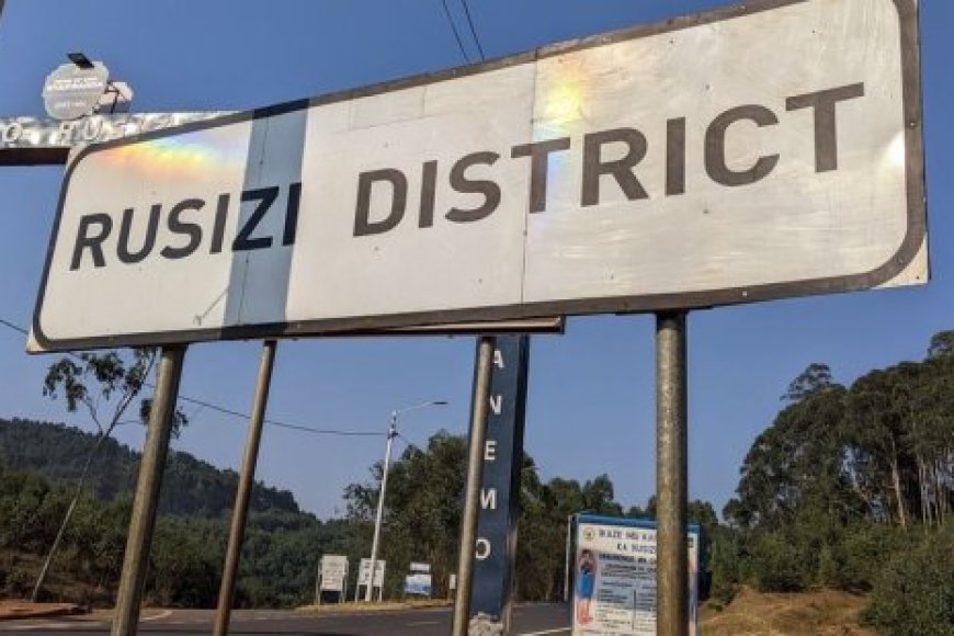 Rusizi: Umusore wiyifurizaga iruhuko ridashira yasanzwe mu giti yapfuye
