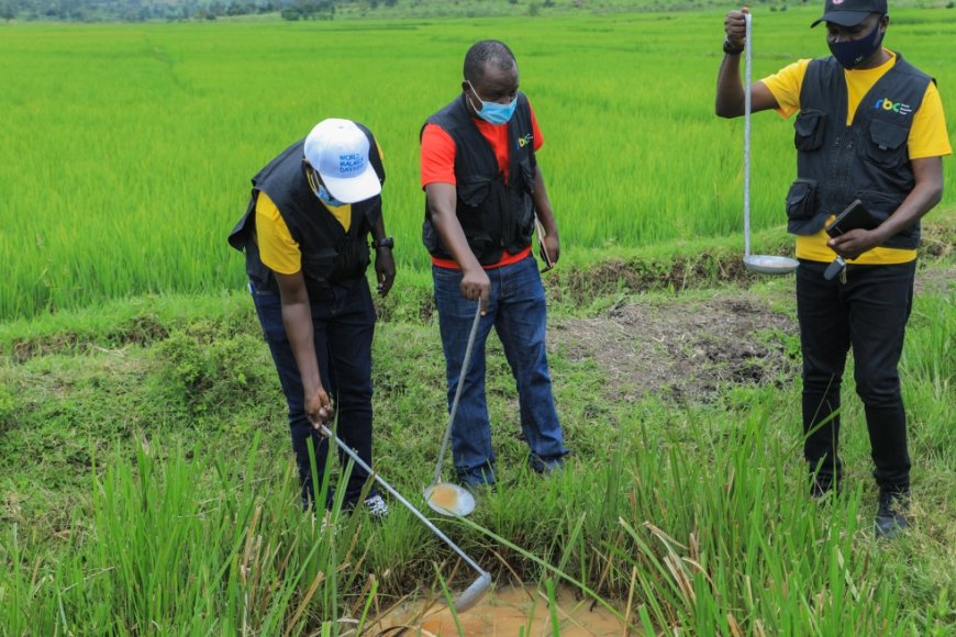 We cannot afford to take it easy in the battle against malaria