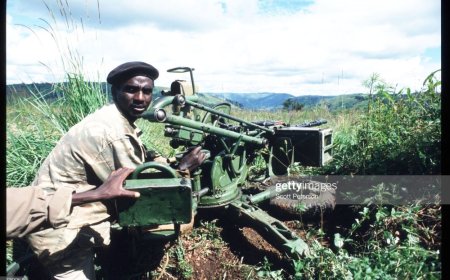Inside the military strategies used to free Rwanda