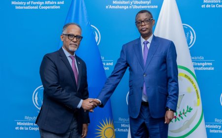 Gen (Rtd) Kabarebe Receives Kedir Awol Omar, Head of ICRC for Rwanda, Uganda and Burundi