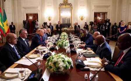 Trump asks Liberian president where he learnt English, his country’s official language