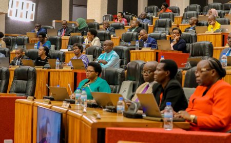 Parliament asks for 2015 National Youth Policy to be revised with new measures for jobless youth