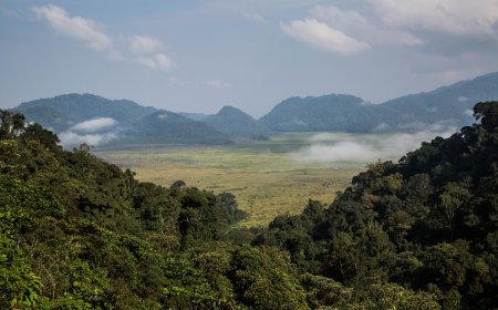 Abagabo babiri barasiwe muri Pariki ya Nyungwe, umwe ahasiga ubuzima