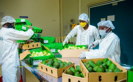 Rwanda Continues to Shine in Export Growth as Locally-Made Products Rise by Over 11%