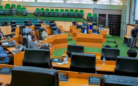 Senate Recommends Nkombo Island as the Only Inhabited Island in Rwanda