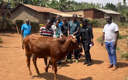 GARUKA KU IVUKO: Abanya-Kirwa baturutse mu bice by'igihugu batanze Inka na Mituelle zirenga 300