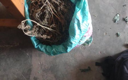 Nyarugenge: Yatawe muri yombi nyuma yo gufatanwa ibiro bine by'urumogi