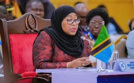 Tanzania Bars Foreigners from 15 Business Sectors, Raising EAC Integration Concerns