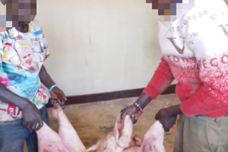 Kamonyi: Baguwe gitumo bamaze kubaga ingurube bibye