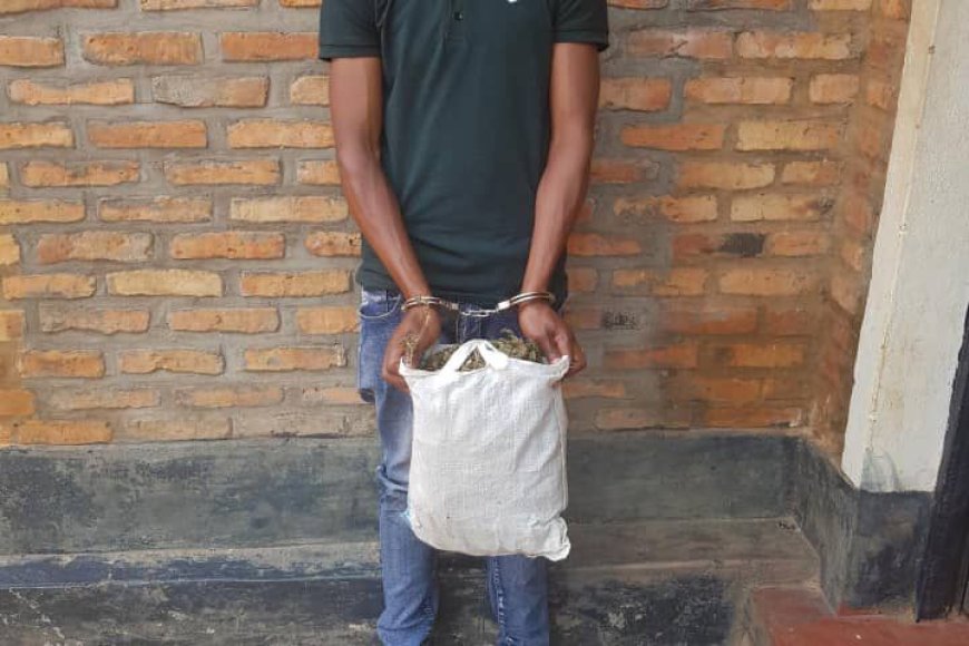 Nyarugenge: Polisi yafashe musore wari ufite  ibiro bitandatu by’urumogi