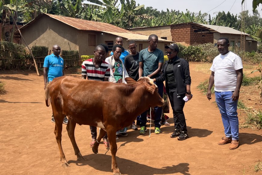 GARUKA KU IVUKO: Abanya-Kirwa baturutse mu bice by'igihugu batanze Inka na Mituelle zirenga 300