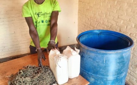 Kigali: Polisi yafashe abantu batatu abacuruza urumogi na Kanyanga