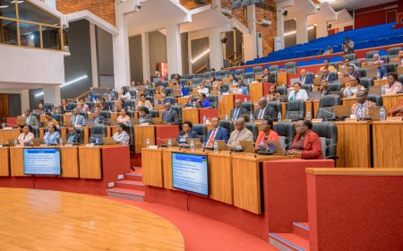 People Over 40 Barred from Surrogacy under Newly Passed Law