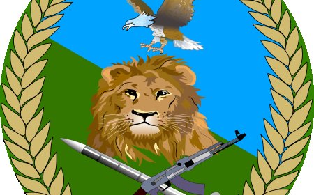 RDF yemeje ko iri gukurikirana abantu 22 barimo abasivile