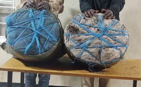 Kigali: Polisi yafatanye abagabo babiri ibilo 31 by’urumogi