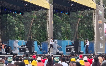 Juno Kizigenza yahamagaye Bushali  ku rubyiniro 