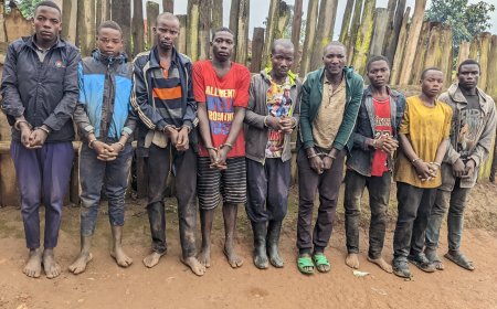 Burera: Polisi yafashe litiro zisaga 1000 za kanyanga n'ibiro bitanu by'urumogi