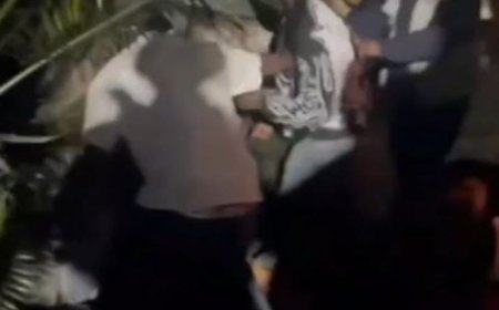 Ukuri ku mashusho ya Jay C, Bushali na Bull Dog barwana n’abafana