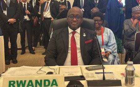 Rwanda Calls for Urgent Action on Peace and Stability at TICAD9, Says Minister Nduhungirehe