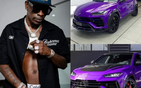 Shatta Wale in custody