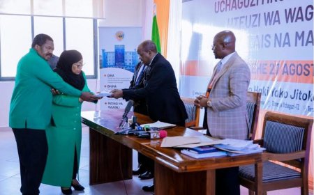 President Samia Suluhu Hassan Becomes First Candidate to Submit Nomination Forms