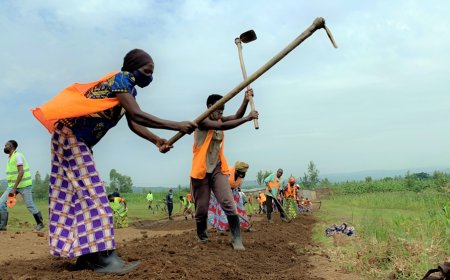 Households in VUP Are No Longer Left Behind in Development