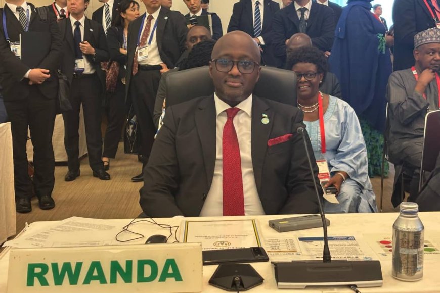 Minister Nduhungirehe Attends Conference on Africa’s Development
