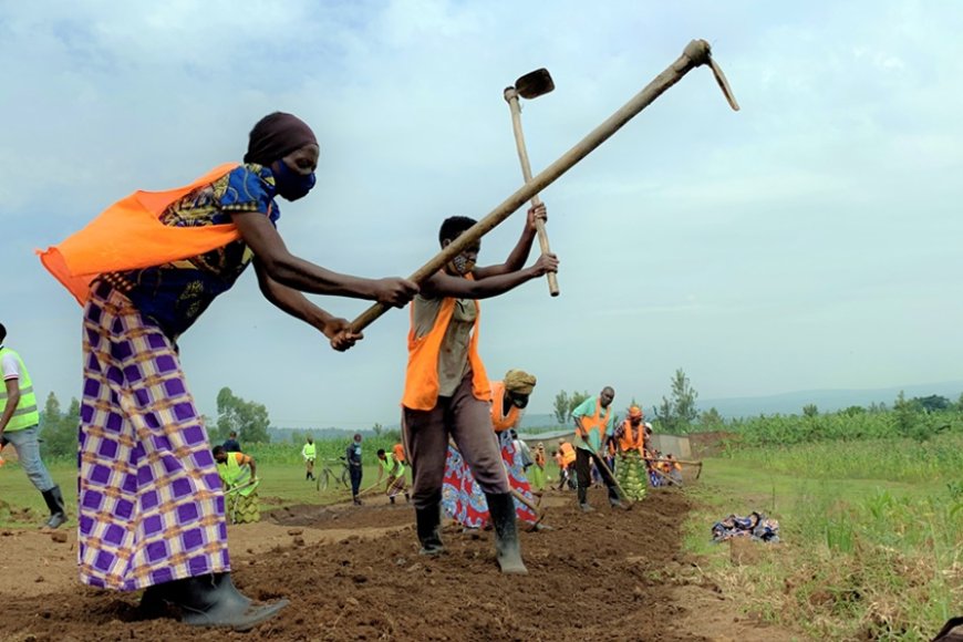 Households in VUP Are No Longer Left Behind in Development