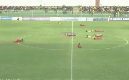 Amashusho y’inzuki zahagaritse umukino muri Tanzaniya yaciye ibintu cyane