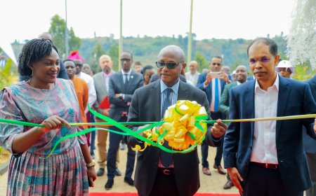 Nyaruguru: Kibeho Tea Factory Officially Inaugurated