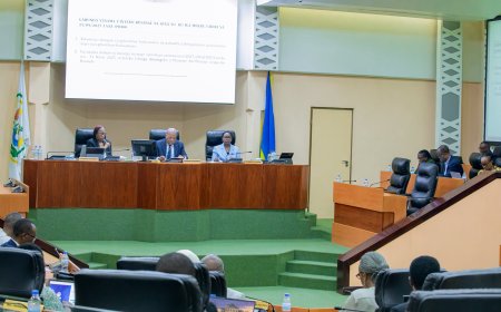 Rwanda’s Senate Urges EU Parliament to Stop Interfering in National Affairs