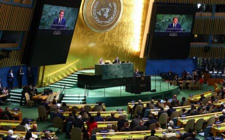 France and Allies Recognize Palestinian Statehood at U.N. Summit