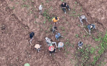 Musanze: Drone yatumye polisi ifata 24 bangiza imyaka n’imirima y’abaturage bayishakamo zahabu