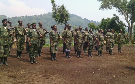 Gusenya FDLR bigiye gutangira