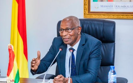 Guinea: Nyuma yo gutora itegeko nshinga rishya hagiye kuba amatora ya Perezida
