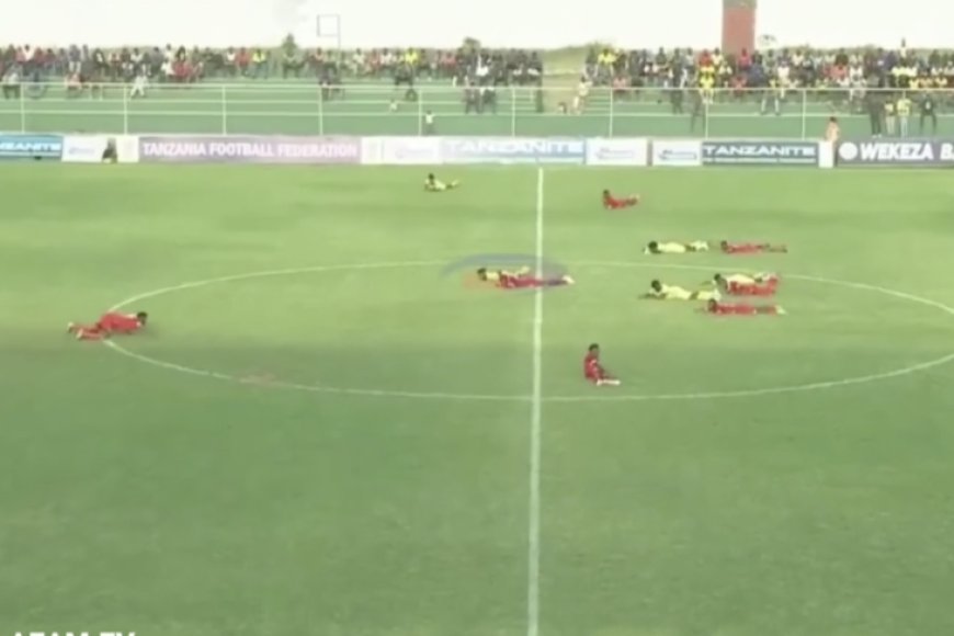 Amashusho y’inzuki zahagaritse umukino muri Tanzaniya yaciye ibintu cyane