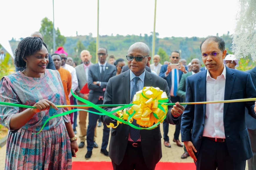Nyaruguru: Kibeho Tea Factory Officially Inaugurated