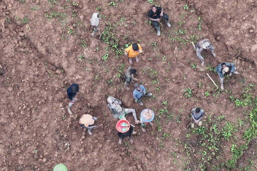 Musanze: Drone yatumye polisi ifata 24 bangiza imyaka n’imirima y’abaturage bayishakamo zahabu