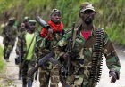 RD Congo itangiye ya kinamico yabo: FDLR yashinje RDF kubitambika mu gikorwa cyo kwishyikiriza MONUSCO